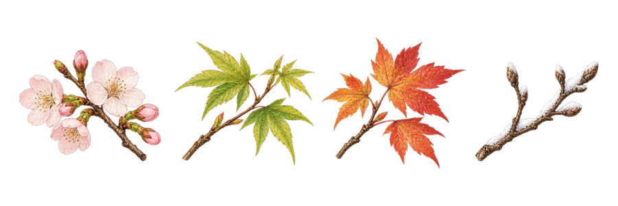 桜・青もみじ・紅葉・雪の枝、四季の小枝の絵