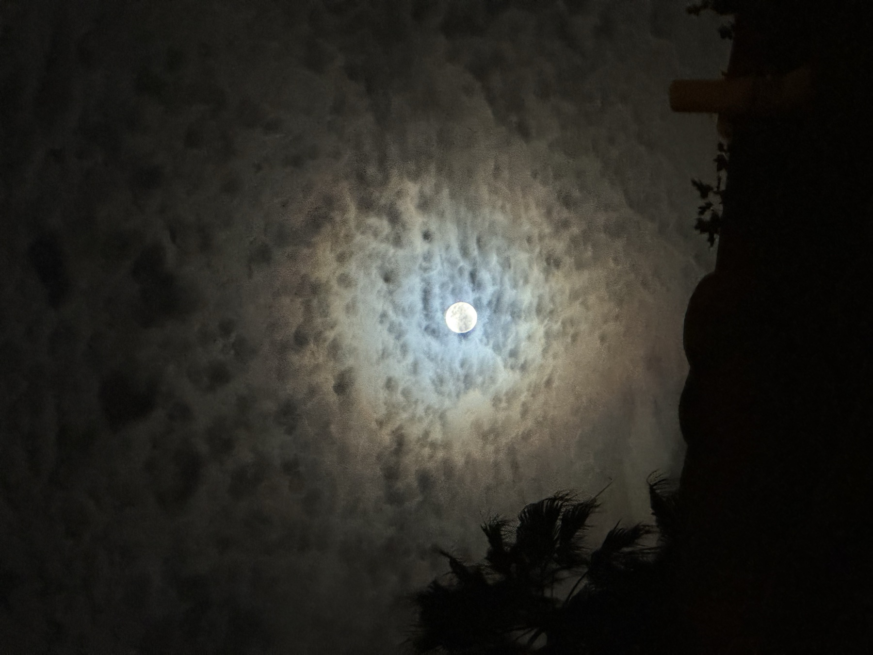 雲のあいだの月
