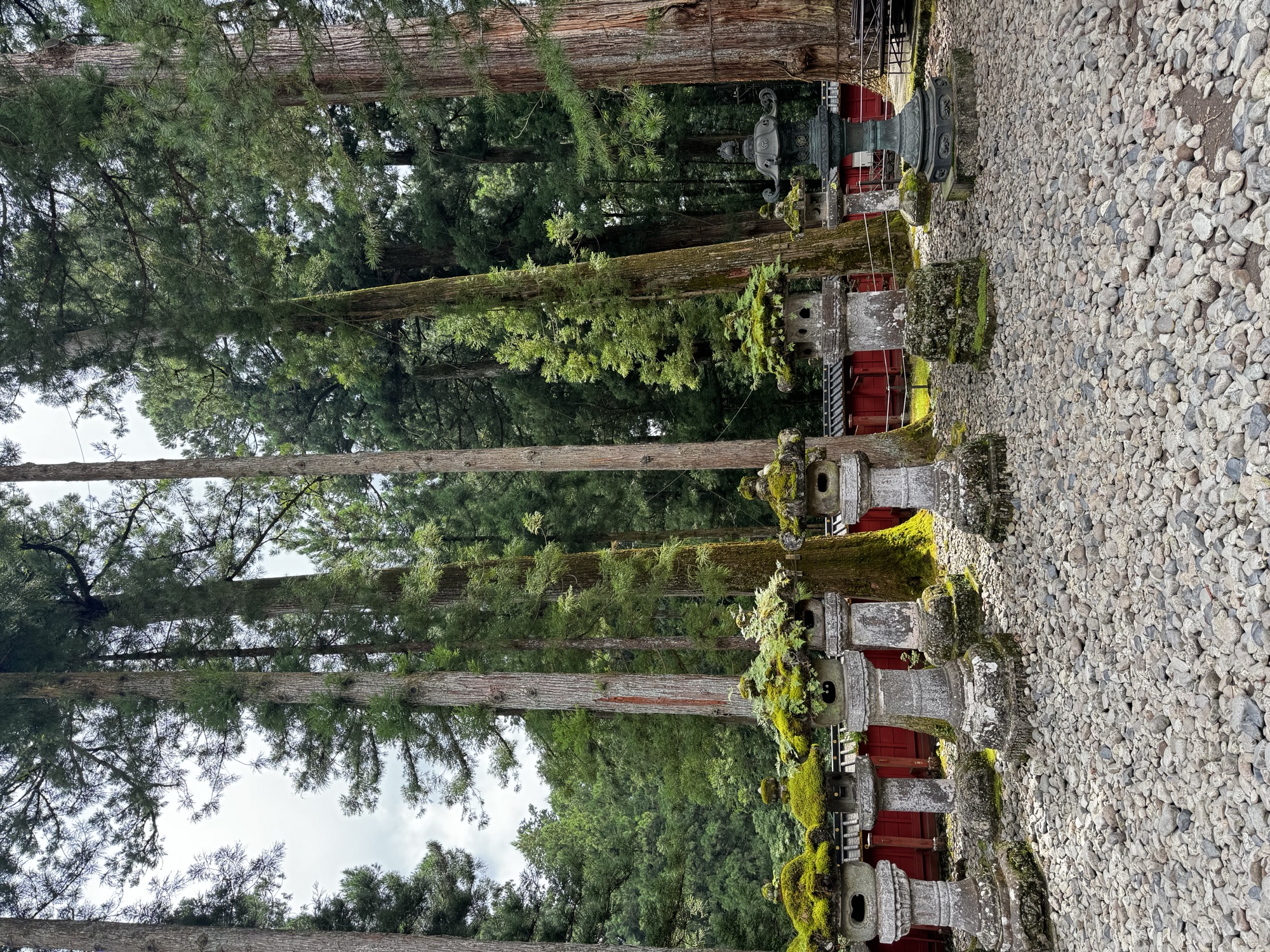 風景